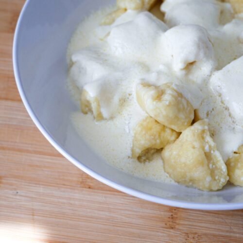 curd dumplings